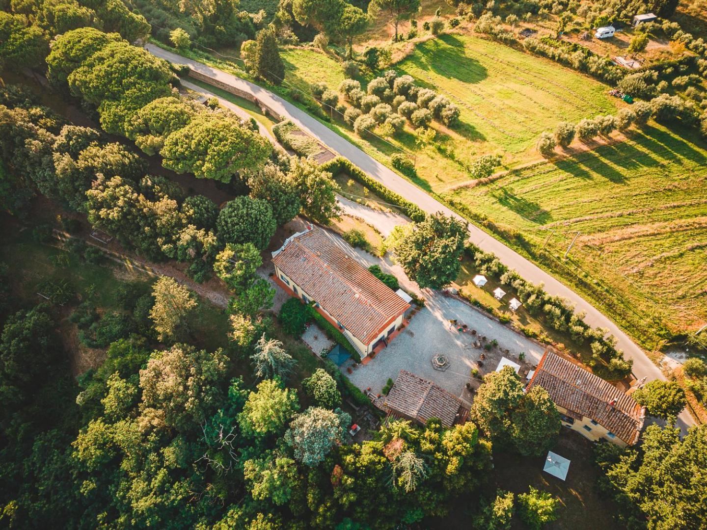 Fattoria Laviosa Apartamento Fauglia Exterior foto